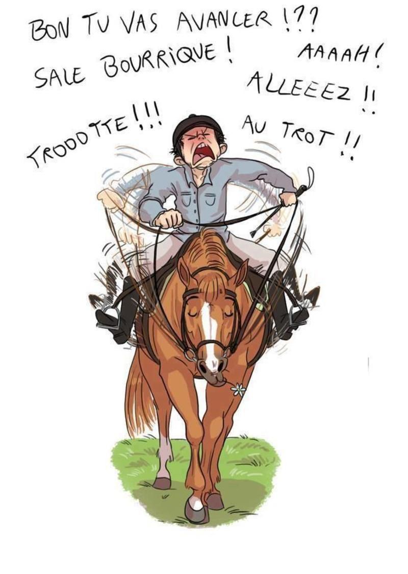 Sweat à Capuche Équitation Humoristique "Je Parle à Mon Cheval" - Pour Femmes Et Filles Cavalières