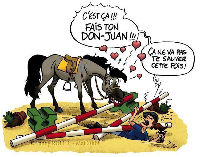 Pantalon Equitation Femme Sweat à Capuche Équitation Humoristique